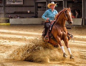 reining-stop---flickr---edward-dalmulder.jpg