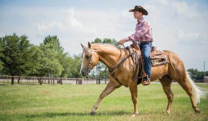 horserider-western-riding-apparel.jpg